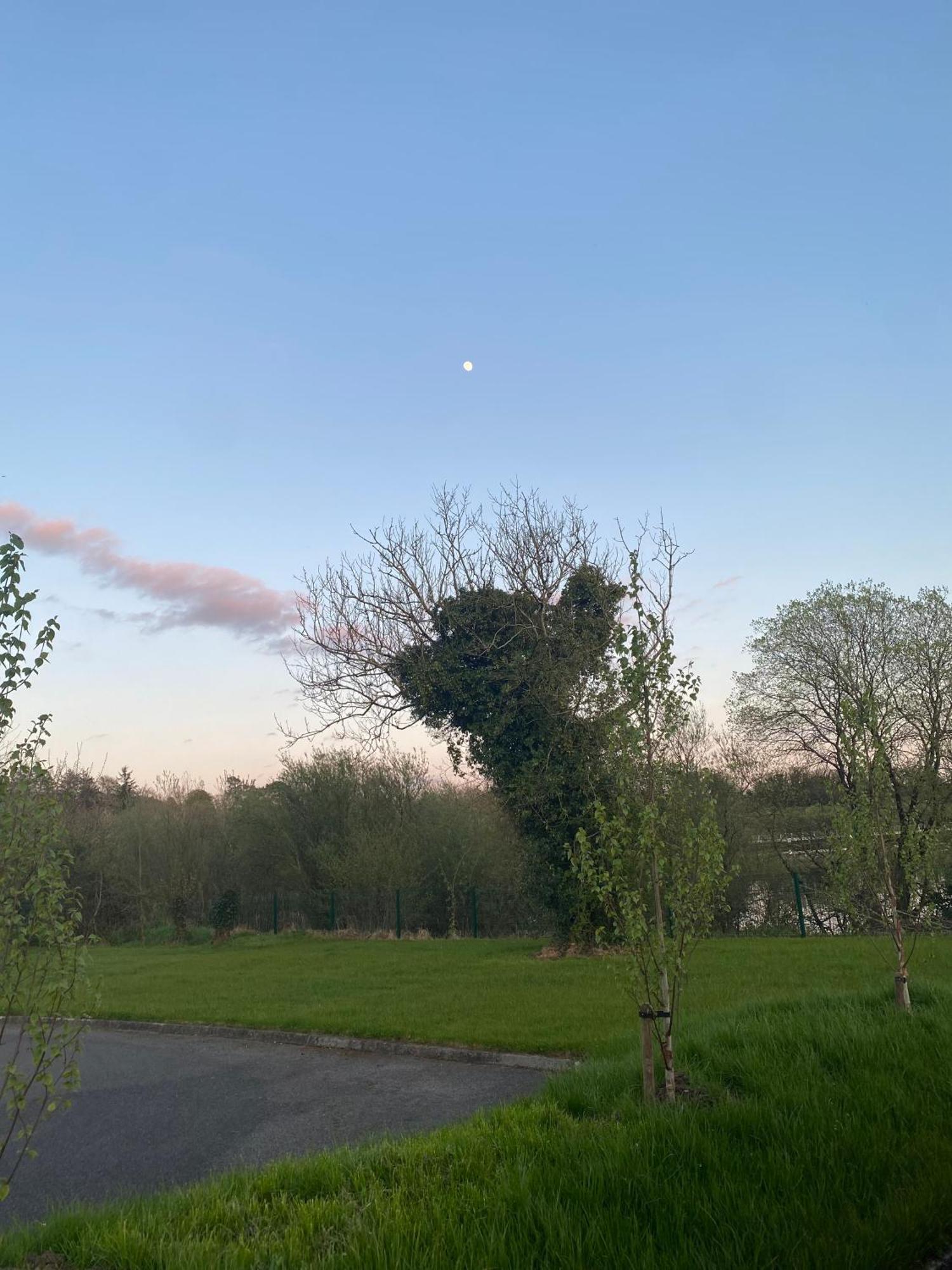 Killyfole Lakeside * Corranny